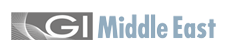 G.I. Middle East